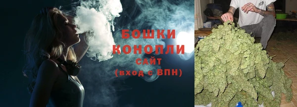 бошки Краснослободск
