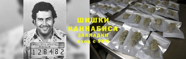 бошки Краснослободск