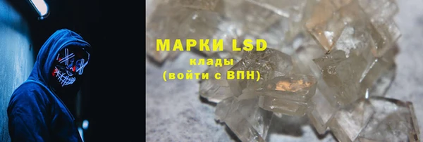 хмурый Корсаков