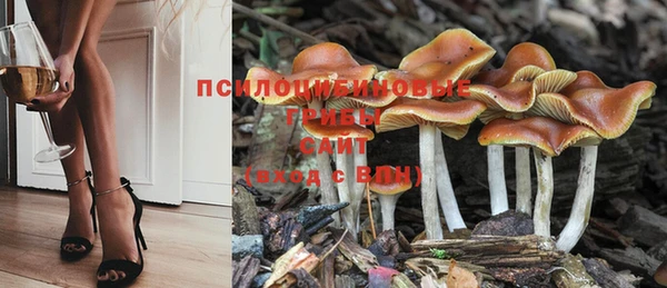 бошки Краснослободск