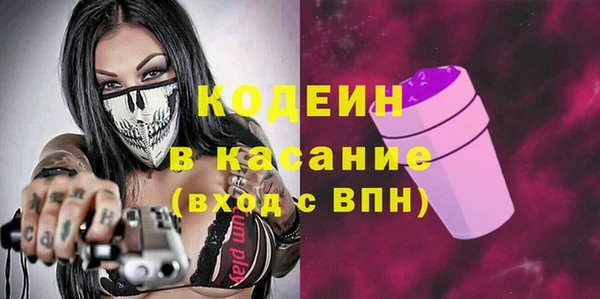 хмурый Корсаков