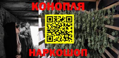 apvp Ирбит