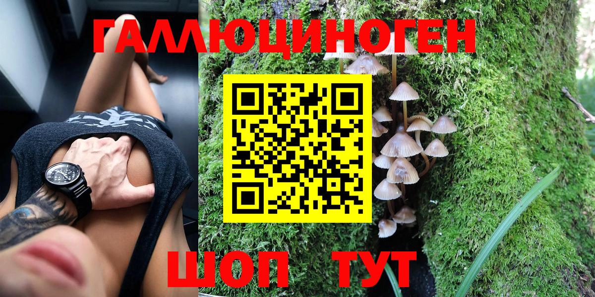 Галлюциногенные грибы Psilocybine cubensis  купить наркотик  Галлюциногенные грибы Cubensis  Кировск  Вход с VPN 