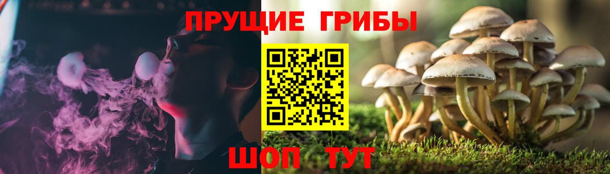 Галлюциногенные грибы ЛСД Кировск